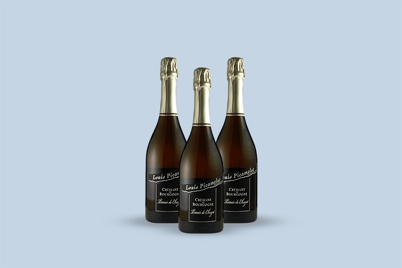 2016 Maison Louis Picamelot Cremant de Bourgogne En Chazot Blanc de Noirs Extra Brut