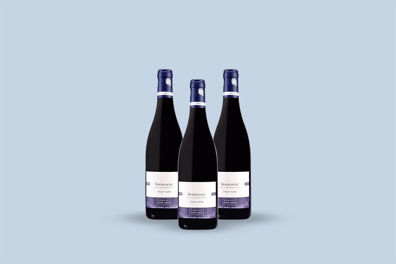 2018 Domaine Anne Gros Bourgogne Pinot Noir