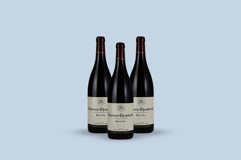 2018 Domaine Jean-Paul et Stephane Magnien Charmes Chambertin Grand Cru