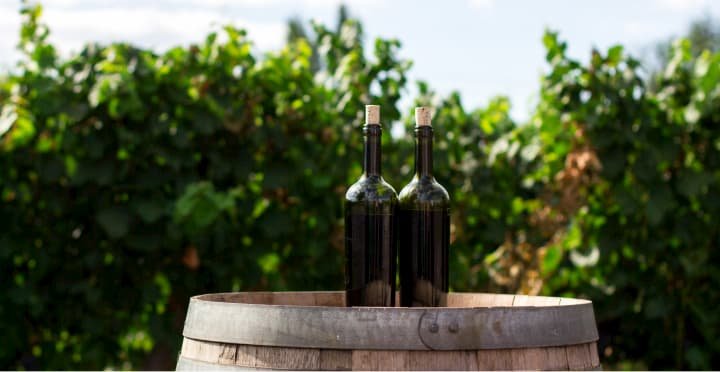 Here are some essential tips to remember when you buy En Primeur wines.
