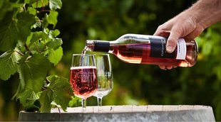 Sparkling Red Wine: Different Styles, Best Wines to Buy 2022