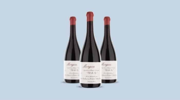 5f8dab6a55c1f00dc8dce3dc_french-red-wine-2016-Domaine-Jean-Foillard-Morgon-Cote-Du-Py.jpg