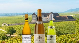 White Burgundy Wine: Types, Prices, Best Wines to Buy in 2021