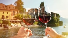 Italian Red Wine (Grape Varieties, Best Wine to Buy in 2022)