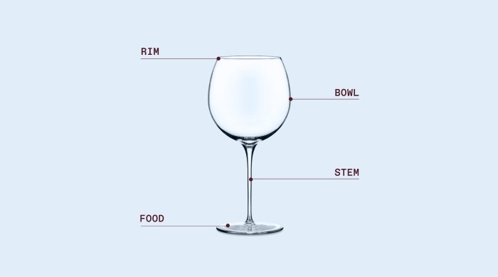 Parts of a wine glass