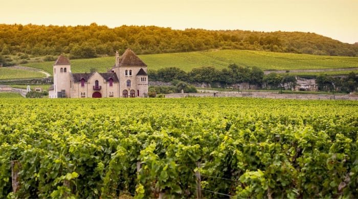 The Chardonnay grape originated in the wine region of Burgundy, Eastern France.