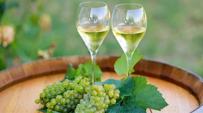 We know that the fermentation process affects the taste of Chardonnay. But, what flavors can you expect from oaked and unoaked Chardonnay?