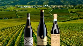 Valpolicella: Region, Wine Styles, Best Wines, Prices 2021