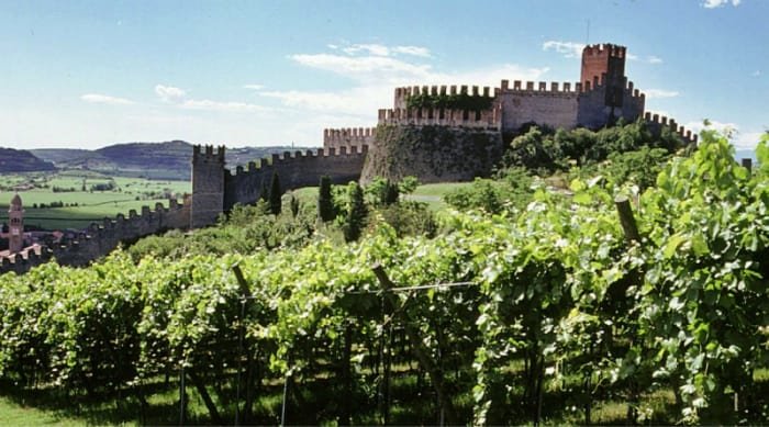 The Valpolicella region is often called the ‘valley of many cellars’ thanks to the number of ancient wine cellars in the area.