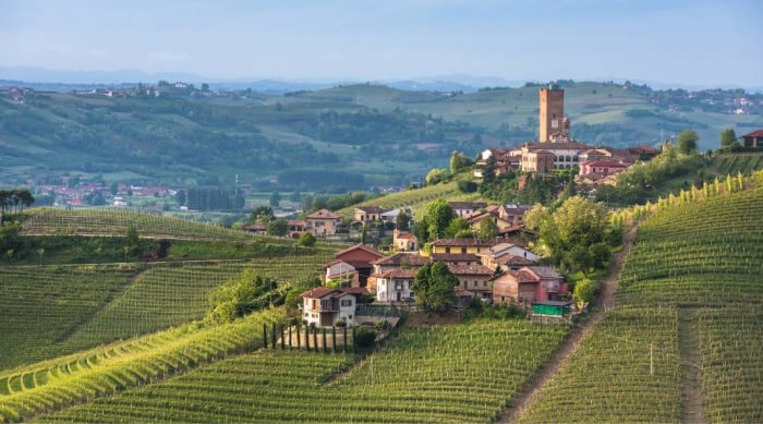 The town of Barbaresco in Piedmont or Piemonte came into prominence after the headmaster of a local school in Alba - Domizio Cavazza - founded the Cantina Sociale di Barbaresco cooperative in 1894.