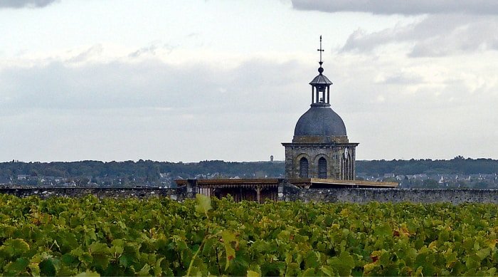 The Vouvray appellation is almost exclusively dedicated to Chenin Blanc. 5% of the minor grape Arbois is permitted, but it is rarely used in winemaking here.