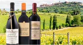 Montepulciano d'Abruzzo wine Hero