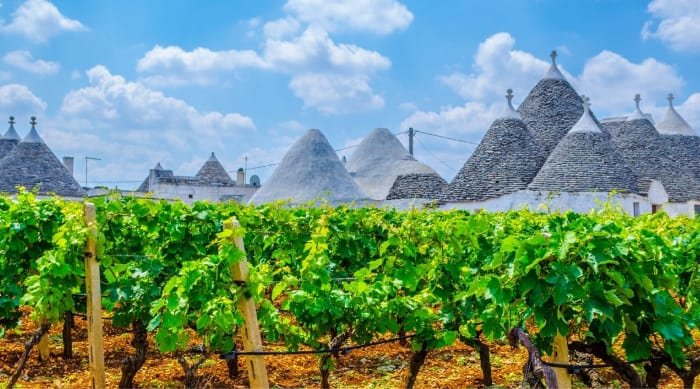 Puglia is an Italian region south of Molise and is famous for its beautiful beaches on the Adriatic sea, delicious food and great wines.