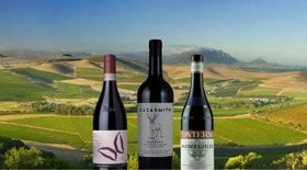 Barbera Wine: Styles, Prices Best Wines in 2022