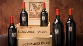 The Majestic Screaming Eagle: Winery, 8 Amazing Wines, Prices (2022)