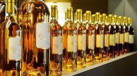 Sauternes Wine (Wine Style, Best Wines, Prices 2021)