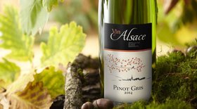 Pinot Gris: Wine Styles, Prices, Best Wines (2022)