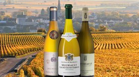 Meursault Wine (The Crus, Best Wines, Prices 2022)