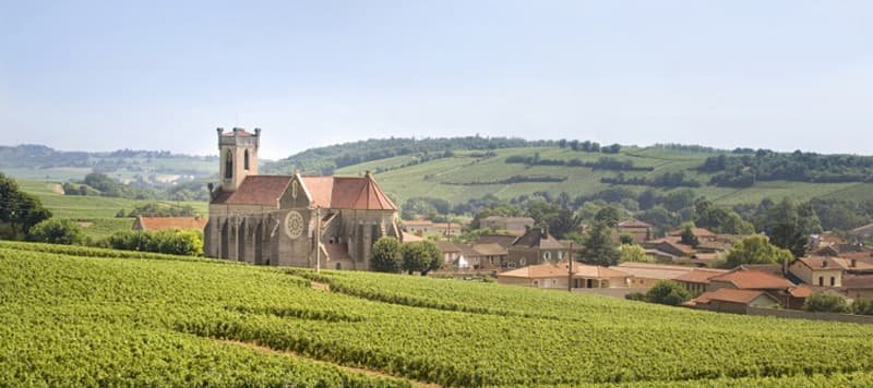 All You Need to Know About Pouilly-Fuissé