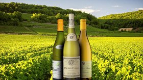 Pouilly-Fuissé: Taste, Best Wines, Prices (2021)