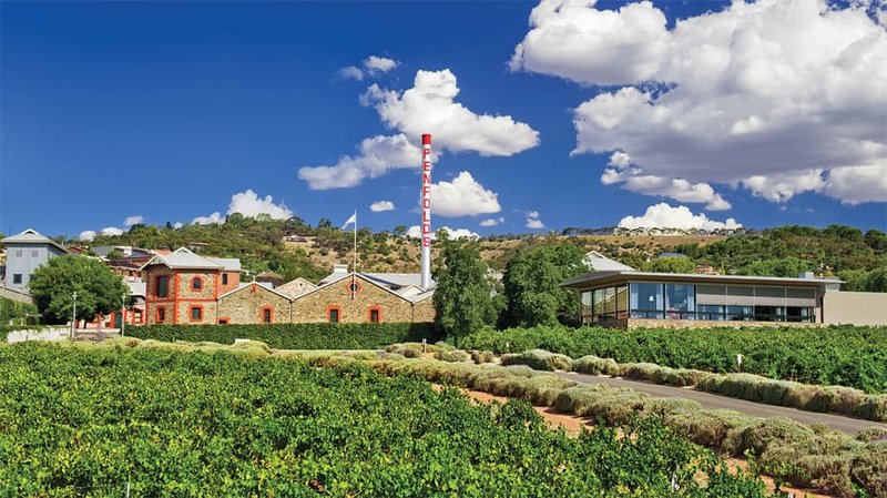 Since its inception, Penfolds Grange bought a number of South Australian vineyards