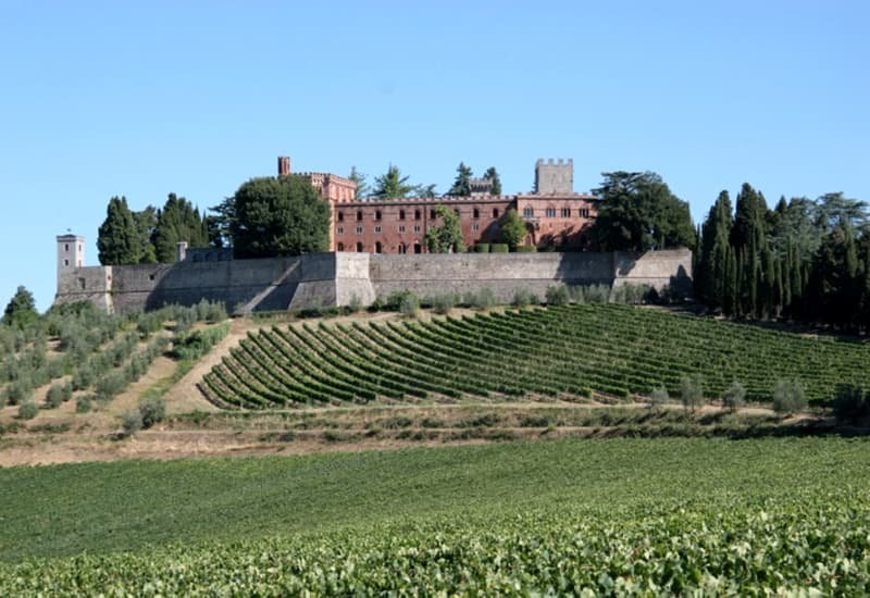 Chateau Haut Brion is recognized as the oldest winery in Bordeaux.