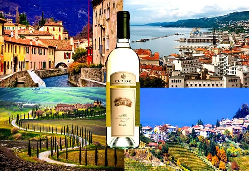 Italian White Wine Regions