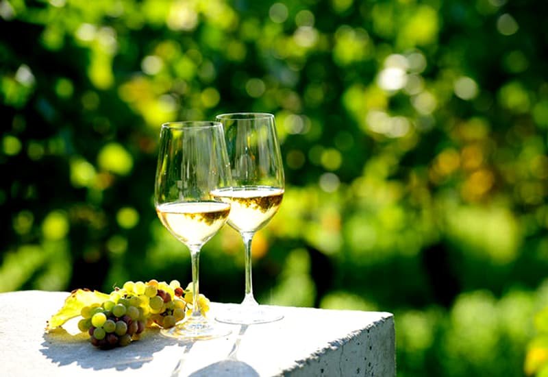 Best Italian White Wines in 2021 