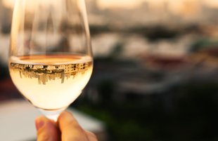 Pinot Blanc - Regions, Food Pairings, Best Wines (2021)