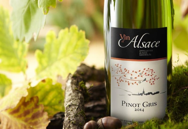Pinot Blanc is a genetic mutation of its more well-known counterparts - Pinot Noir and Pinot Gris.
