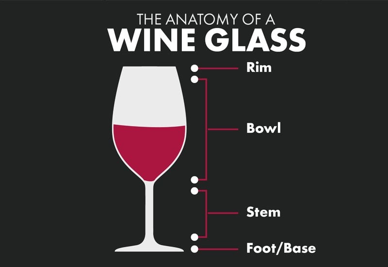 The Anatomy of a wine glass
