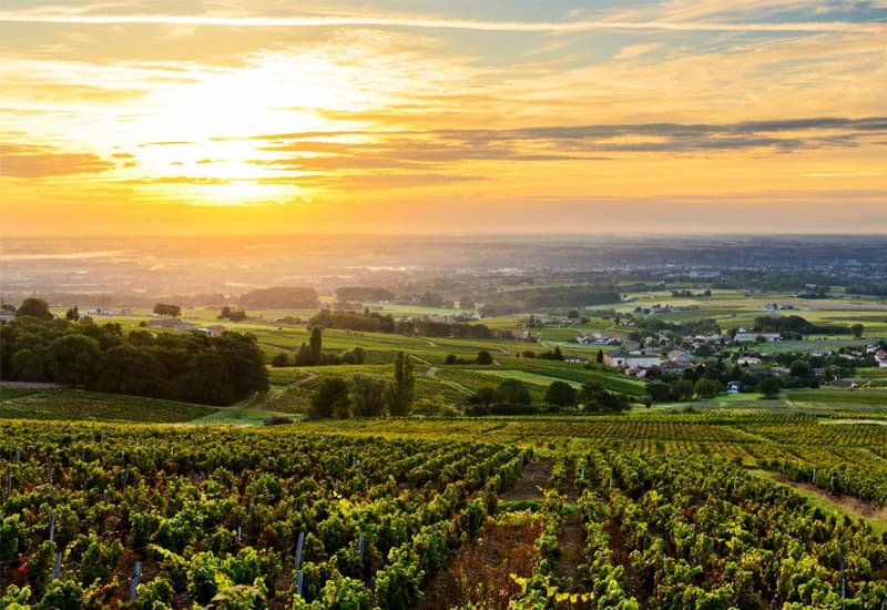 Beaujolais is a small wine region in eastern France that lies to the south of Burgundy.