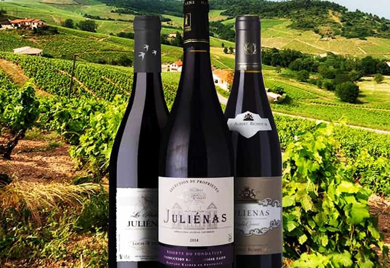 Located in the northern part of Beaujolais, Julienas is known for its deep red wines with floral, spice, and red fruit notes.