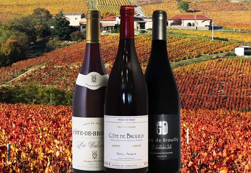 Situated on the volcanic soils of Mont Brouilly, Cote de Brouilly produces elegant and complex red wines.