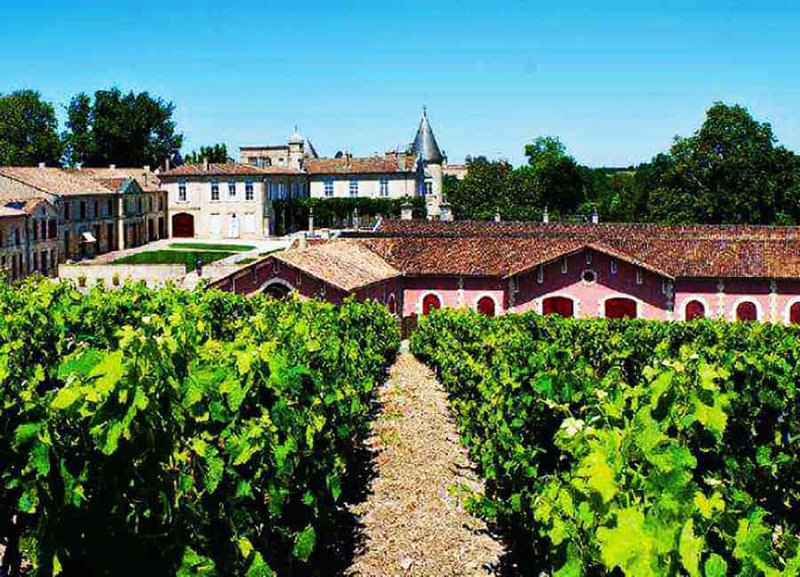 5ff383b569749700b7bd1693_chateau-lafite-rothschild-vineyards.jpg
