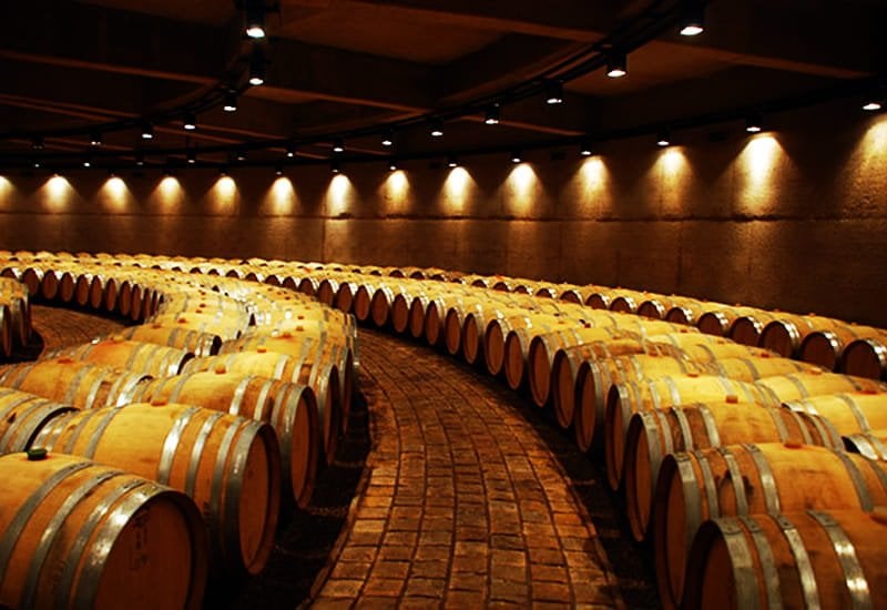 6001e74a85f8d853c2586e77_malbec-wine-viticulture-and-winemaking.jpg