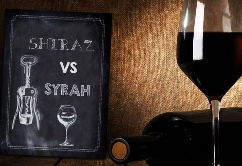 600708dd2b733a1496e57069_shiraz-wine-shiraz-vs-syrah.jpg