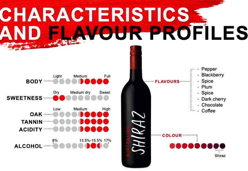 600756a407a92675451bc3d5_shiraz-wine-shiraz-tasting-notes-and-characteristics.jpg
