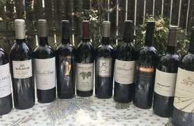 Merlot (Wine Regions, Styles, Best Wines 2021)