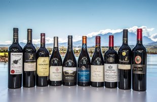 Pinotage (Wine Regions, Prices, Best Wines 2021)