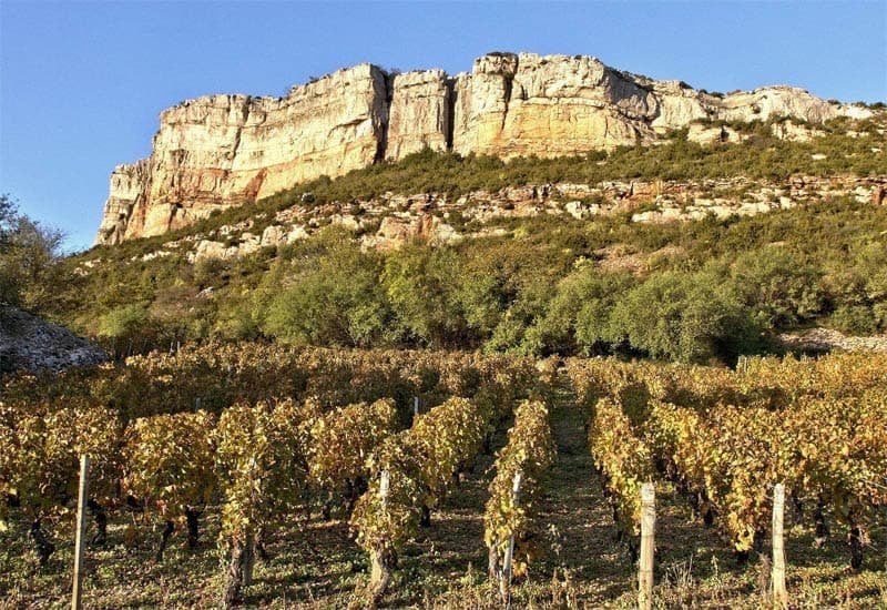 Mâconnais is the largest and most southerly Burgundy region and is known for easy-drinking, great value Chardonnay. 