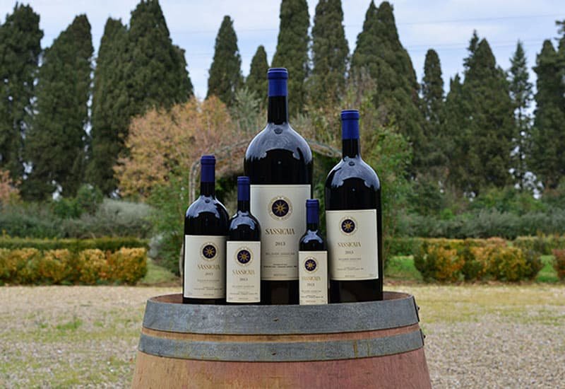 Sassicaia wine bottles of various sizes in vineyard on Castiglioncello di Bolgheri’s hills.
