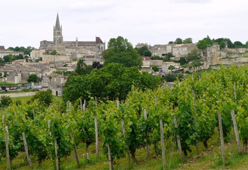 A combination of streams and slopes gives Pauillac a distinctive and varied terroir. 