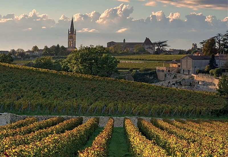 The Chateau Angelus vineyards grow in a natural amphitheater on a south-facing slope and at the foot of Saint-Emilion.