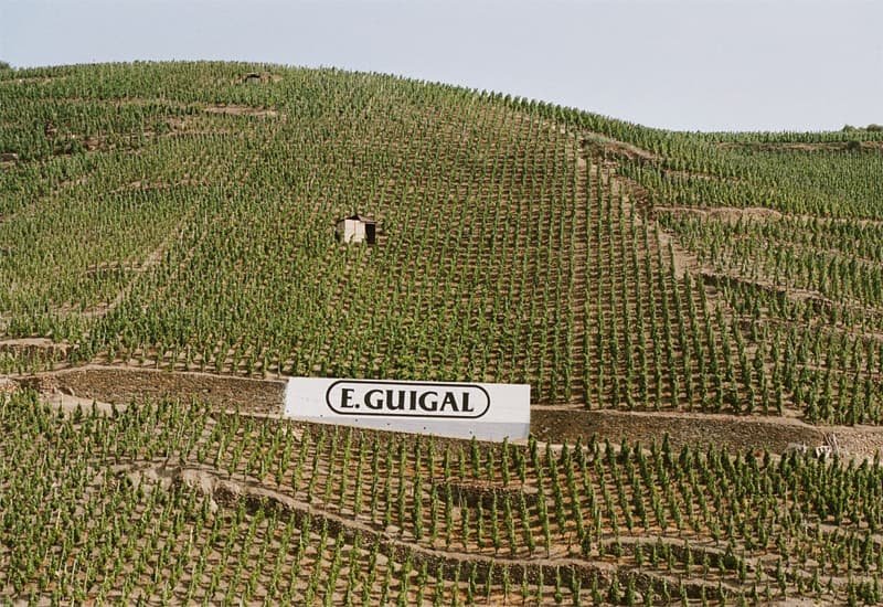 602aba9e4cfb4d2f8ce992b1_Guigal-Vineyards-And-Wines.jpg