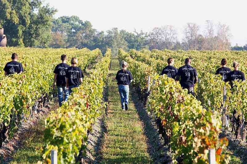 The Smith Haut Lafitte vineyards enjoy a distinct terroir - a blend of natural drainage, good sun exposure, and organic Gunzian gravel soils.