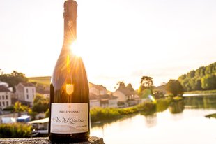 Philipponnat Champagne (Winemaking, Best Wines 2021)