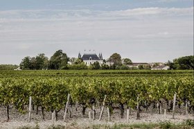 Chateau Palmer (Winemaking, Best Wines, Prices 2021)