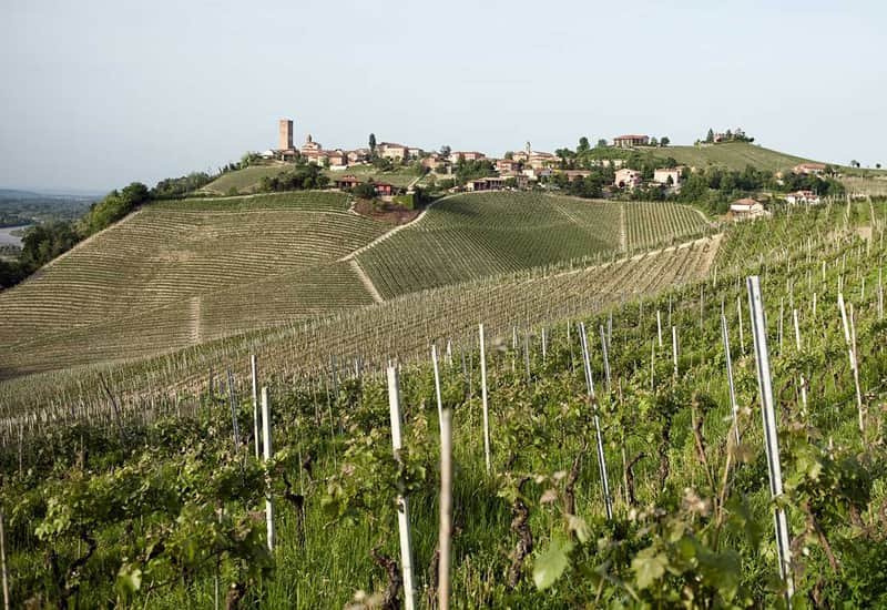Roagna Wine Carso Vineyard