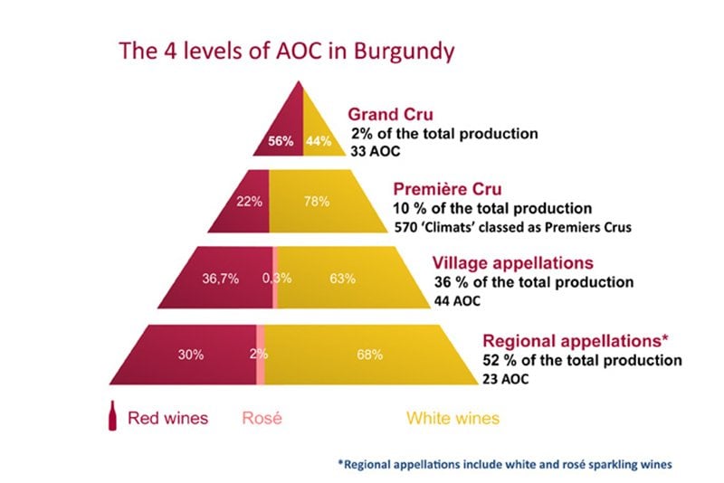 Grand Cru Wine: The 4 Levels of AOC in Burgundy